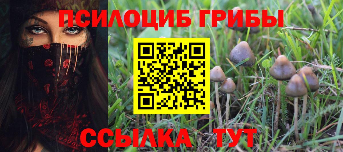 Галлюциногенные грибы GOLDEN TEACHER  Псилоцибиновые грибы мицелий  Петрозаводск  Вход с VPN 