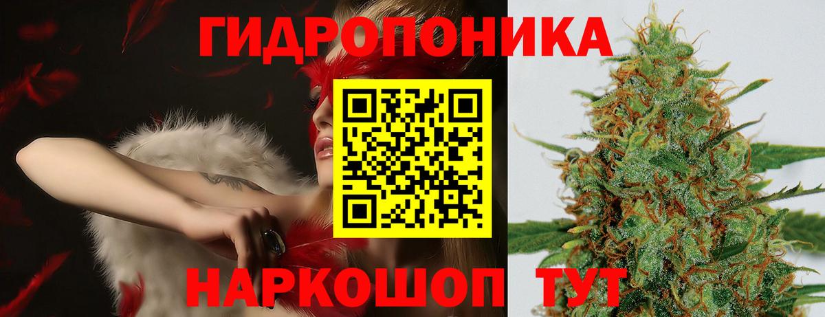 Бошки Шишки THC 21%  Вход с VPN  Шишки марихуана тримм  Марихуана MAZAR  Петрозаводск 